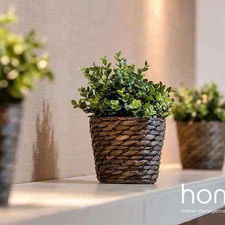 Apartment Arty & Comfy Homm Studio In Lycabettus